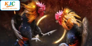 Đá Gà Cựa Sắt KJC